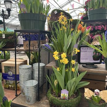 Bachman's Minneapolis - Spring display - Nurseries & Gardening Near Me - Minneapolis, Minnesota