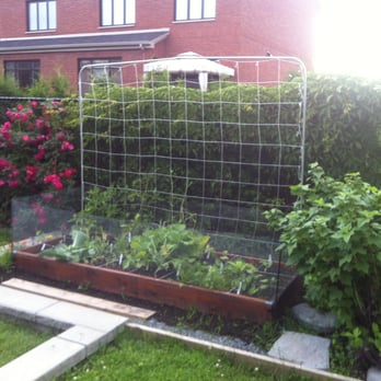 Urban Seedling - Raised-Bed vegetable garden - Landscaping Near Me - Montreal, Quebec Urban Seedling - Raised-Bed vegetable garden - Landscaping Near Me - Montreal, Quebec
