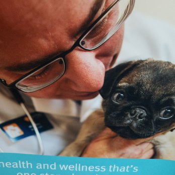 PetSmart - Pet Training Near Me - Shakopee, Minnesota