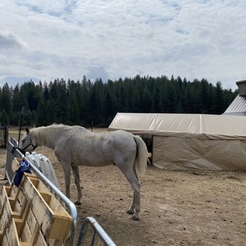Hierophant Meadery - Horse - Wine Tasting Room Near Me - Mead, Washington Hierophant Meadery - Horse - Wine Tasting Room Near Me - Mead, Washington