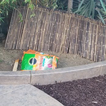 Concrete Creations SD - Small retaining wall where bamboo trees are. - Masonry/Concrete Near Me