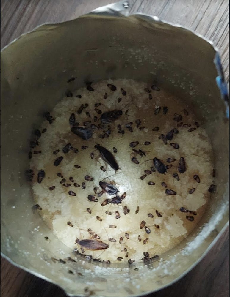 THE SAVANNAH AT GATEWAY Updated September 2024 11 Reviews 401