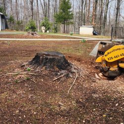 Catawba Stump Grinding - Stump grinder next to a stump.