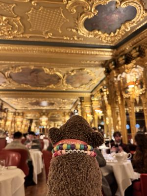 Hotel Café Royal by null