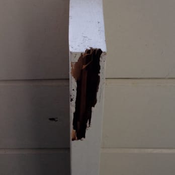 D R Lambert Custom Painting - Termite damage - Painters Near Me - El Segundo, California D R Lambert Custom Painting - Termite damage - Painters Near Me - El Segundo, California