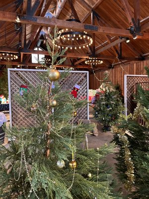 Roaring Camp by null