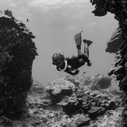 Kona Freedivers - Exploring Kona's Beautiful Reefs