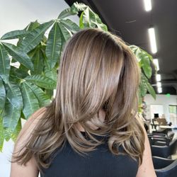 Colorbyaylin