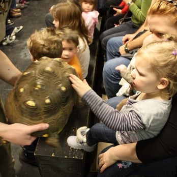 Little Ray's Reptile Zoo - Tortoises are Super Friendly! - Zoos Near Me - Sarsfield, Ontario Little Ray's Reptile Zoo - Tortoises are Super Friendly! - Zoos Near Me - Sarsfield, Ontario