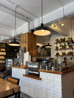 Café Negro by null