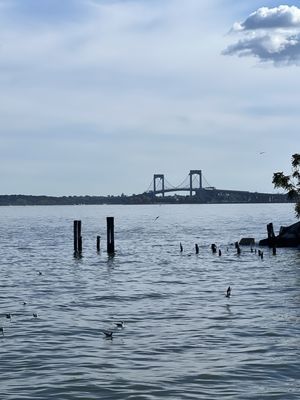 Johnny's Reef by null Johnny's Reef by null