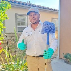 Pestology Pest Control