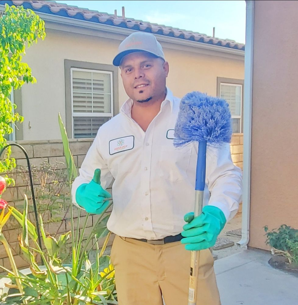 PESTOLOGY PEST CONTROL Updated September 2024 Palm Desert