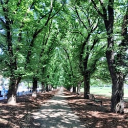 Fawkner Park