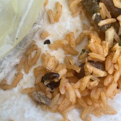 Tacos El Pariente - A roach
