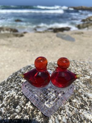 Asilomar State Beach by null