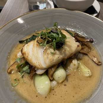 Basalt - Miso Black Cod - New American Near Me - Honolulu, Hawaii