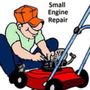 Photo of Deepal's Lawn Mower Repair Service