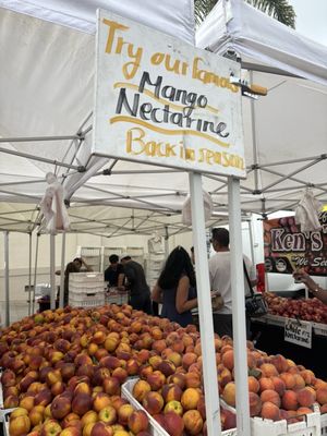 Little Italy Mercato Farmers' Market by null