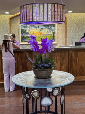 Kaanapali Alii Resort by null