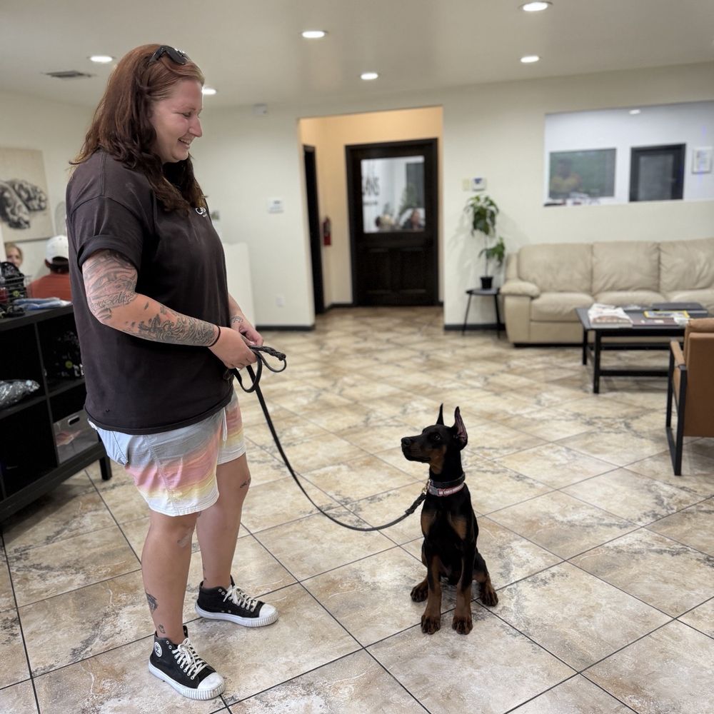 CANIS - Behavior and Training - Pet Training Near Me - Tarzana, California