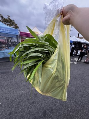 West Oakland Farmers Market by null