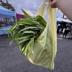 West Oakland Farmers Market - Viet water spinach