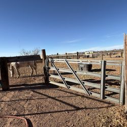 Van Horn RV Park - Pens