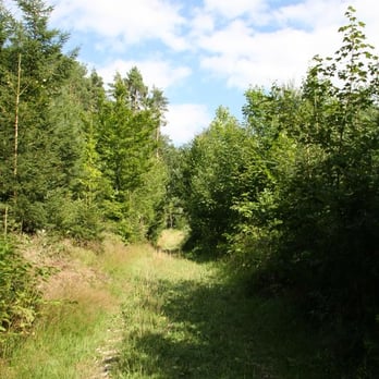 Kindererlebnisweg - Kids Activities Near Me - Mistelgau, BY