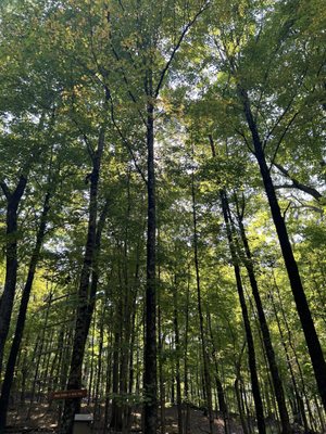 Edith Macy Conference Center by null