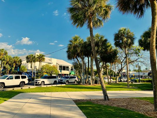 St. Armands Circle by null