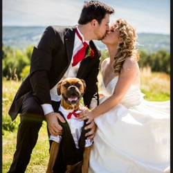 Natural Dog Pet Spa - Our guy Leo looking spiffy at our wedding!