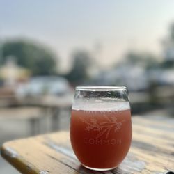 Haywood Common - Kombucha
