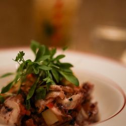 Tapisco - Octopus salad