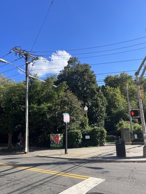 Van Vorst Park by null