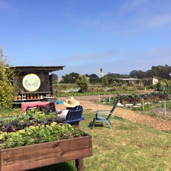 Homeless Garden Project - The fields. You get to pick whatever you want! - Farms Near Me - Santa Cruz, California Homeless Garden Project - The fields. You get to pick whatever you want! - Farms Near Me - Santa Cruz, California