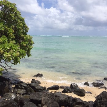 E Noa Tours - Tours Near Me - Honolulu, Hawaii E Noa Tours - Tours Near Me - Honolulu, Hawaii