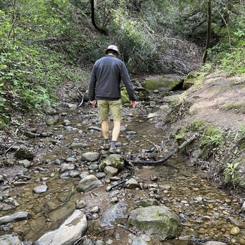 Las Trampas Regional Wilderness - Part of the trail includes walking along the stream. Luckily it was very shallow. - Parks Near Me - San Ramon, California Las Trampas Regional Wilderness - Part of the trail includes walking along the stream. Luckily it was very shallow. - Parks Near Me - San Ramon, California