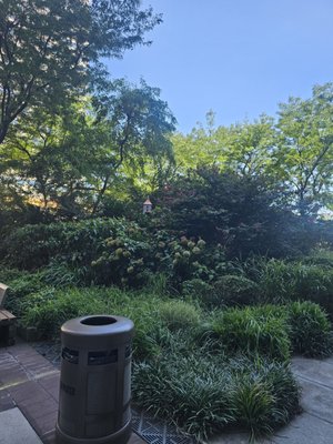 Elevated Acre by null