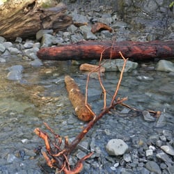 Damnation Creek Trail - Set up our own crossing bridge. Or you can use the giant logs