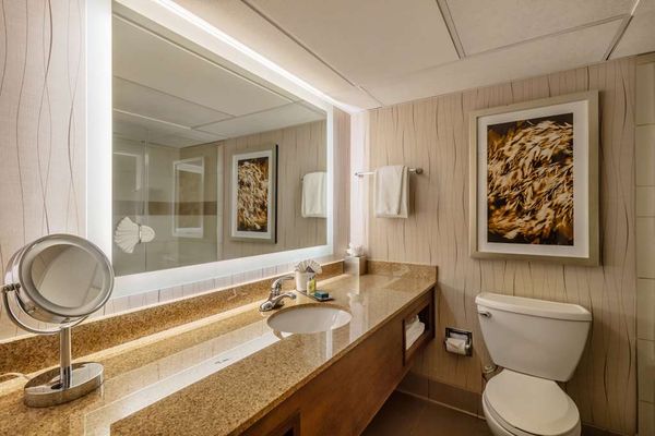 DoubleTree by Hilton Hotel Lawrence by null