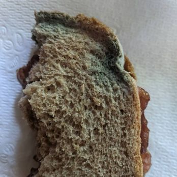 Arcadia Place - Moldy bread. - Retirement Homes Near Me - Vista, California