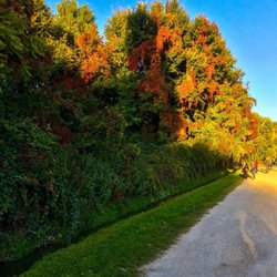 Parco delle Cave - Fall foliage-no filters