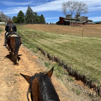 Appalachian Trail Rides - Horseback Riding Near Me - Mineral Bluff, Georgia