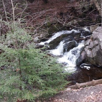 Enders State Forest - Parks Near Me - Granby, Connecticut