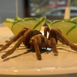 Disgusting Food Museum - Fried tarantula