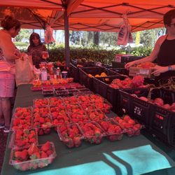 Coconut Creek Hometown Market