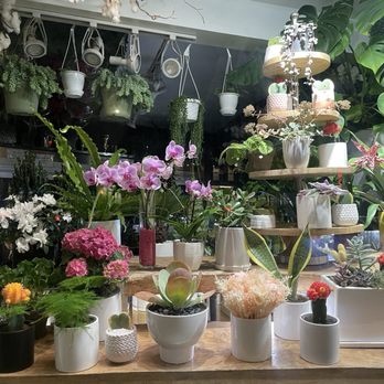 Casey's Flower Studio - Florists Near Me - New York, New York