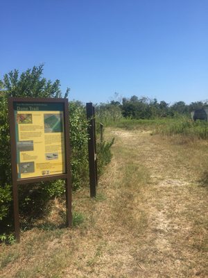 Cape May National Wildlife Refuge by null