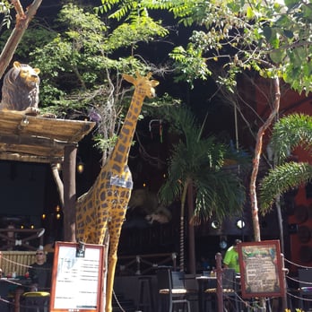 Malecón Puerto Vallarta - Zoo bar on the boardwalk. Pretty interesting - Beaches Near Me - Puerto Vallarta, JAL